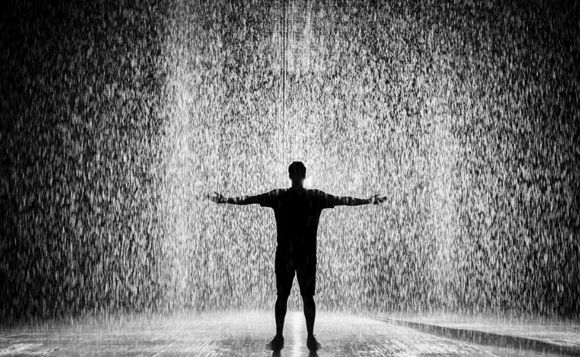 上海市商務(wù)調(diào)查取證：有的生來就適合在春天綻放