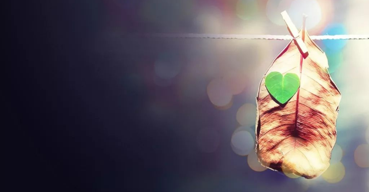 上海市偵探調(diào)查：只剩下合適、將就而已